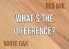What are some key differences between Red Oak and White Oak?