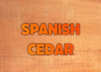 Spanish Cedar, or “Cedrella Odorata”